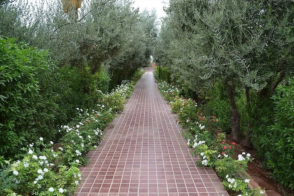 In Club Palmeraie Resorts Marrakesh